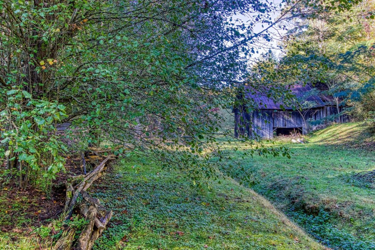 Cozy Creek Hébergement de vacances Pigeon Forge