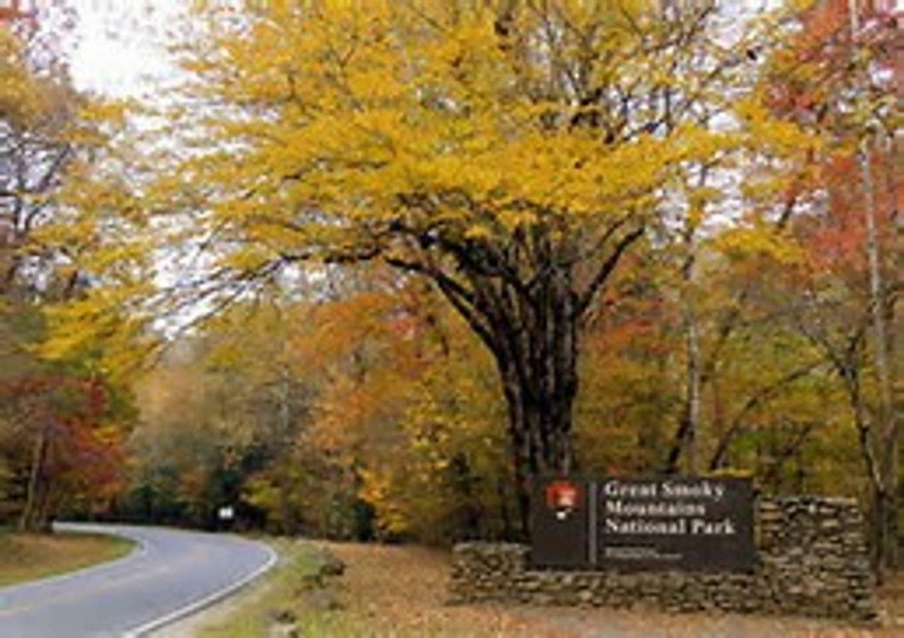 Hébergement de vacances Cozy Creek Pigeon Forge